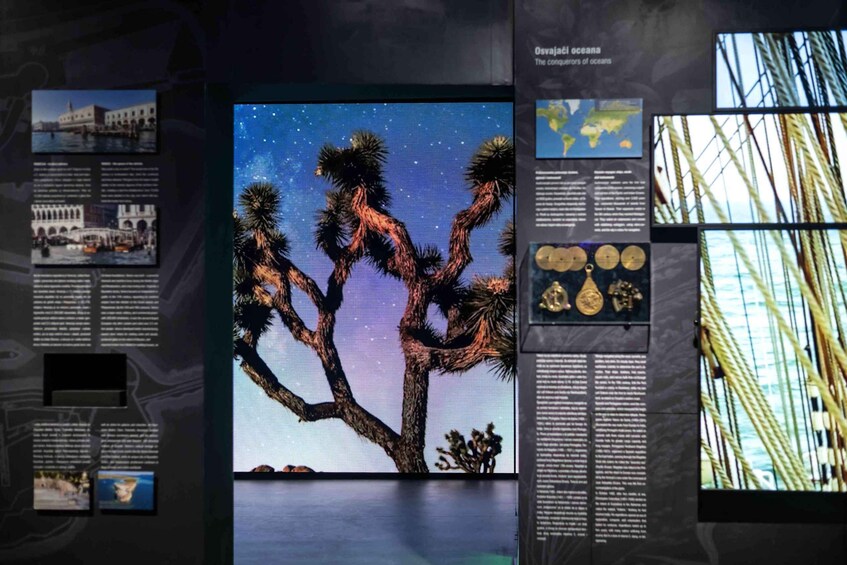 A desert tree with a starry sky background, a map, and maritime artifacts. 1