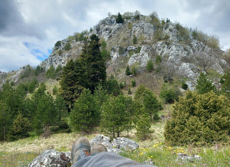Picture 3 for Activity Grevena: Mount Orliakas and Portitsa Canyon Hike 2