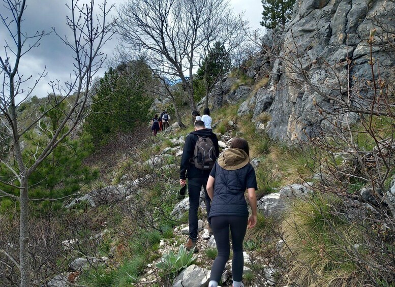 Picture 4 for Activity Grevena: Mount Orliakas and Portitsa Canyon Hike 5
