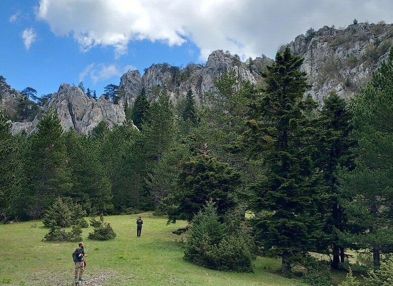 Picture 5 for Activity Grevena: Mount Orliakas and Portitsa Canyon Hike 4