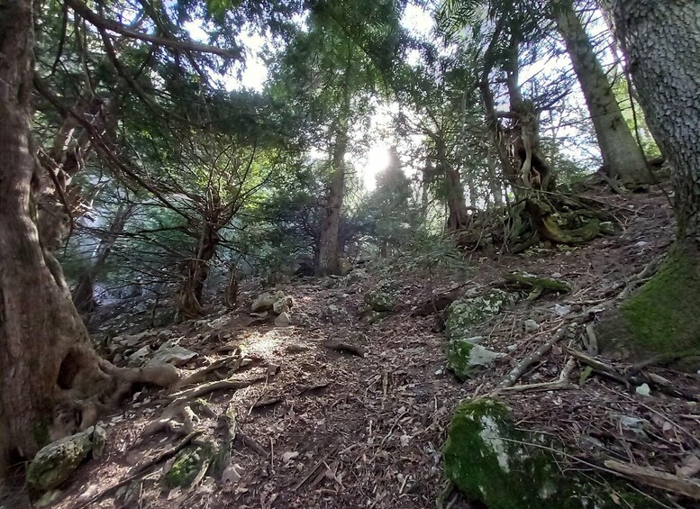Grevena: Mount Orliakas and Portitsa Canyon Hike 1