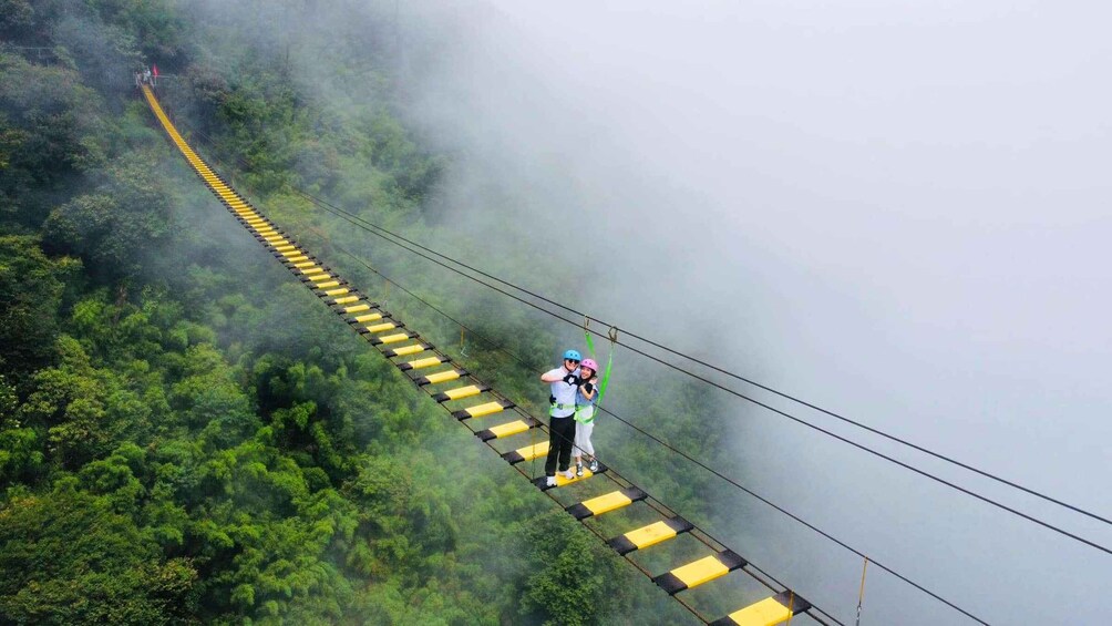A zip line over a forested mountain. 2