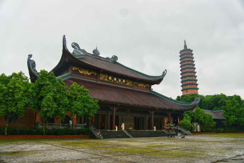 Picture 12 for Activity Ninh Binh: Bai Dinh - Trang An - Mua Cave (Group/Private) 3