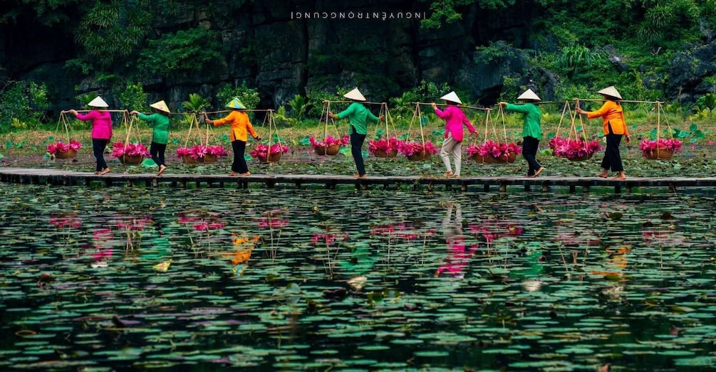 Picture 67 for Activity Ninh Binh: Sacred Fish Stream or Trang An, Mua Cave & Hoa Lu 5
