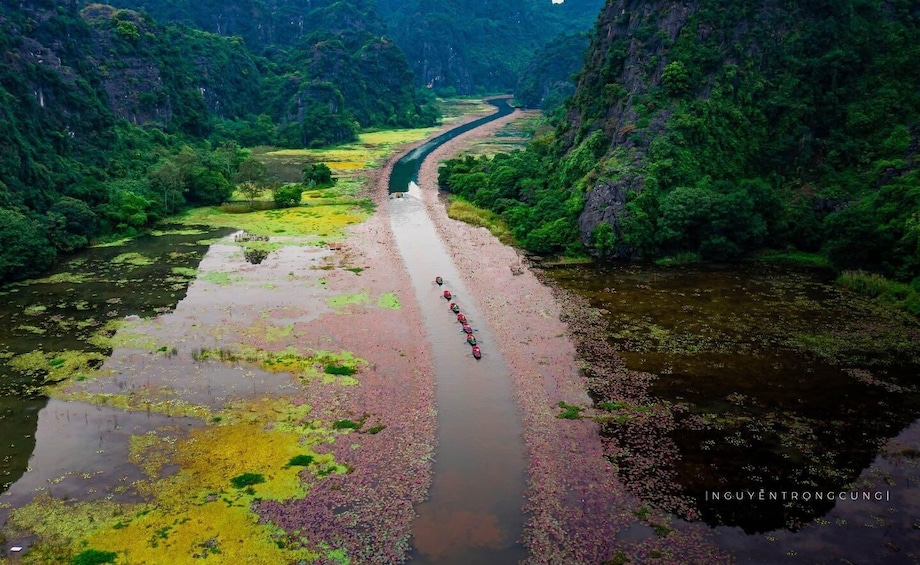 Picture 60 for Activity Ninh Binh: Sacred Fish Stream or Trang An, Mua Cave & Hoa Lu 3