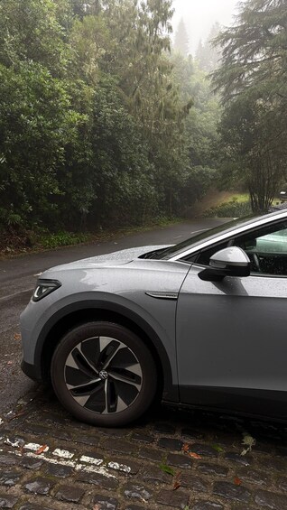 A silver car parked on a cobblestone road surrounded by dense greenery. 5