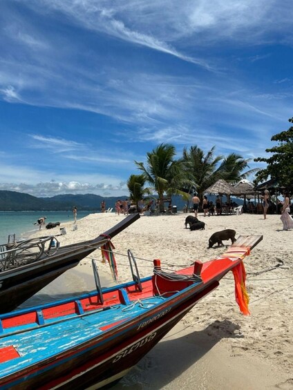 A beach with boats, palm trees, and people. 1