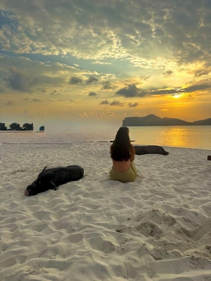 A person sitting on a sandy beach facing the ocean at sunset. 2