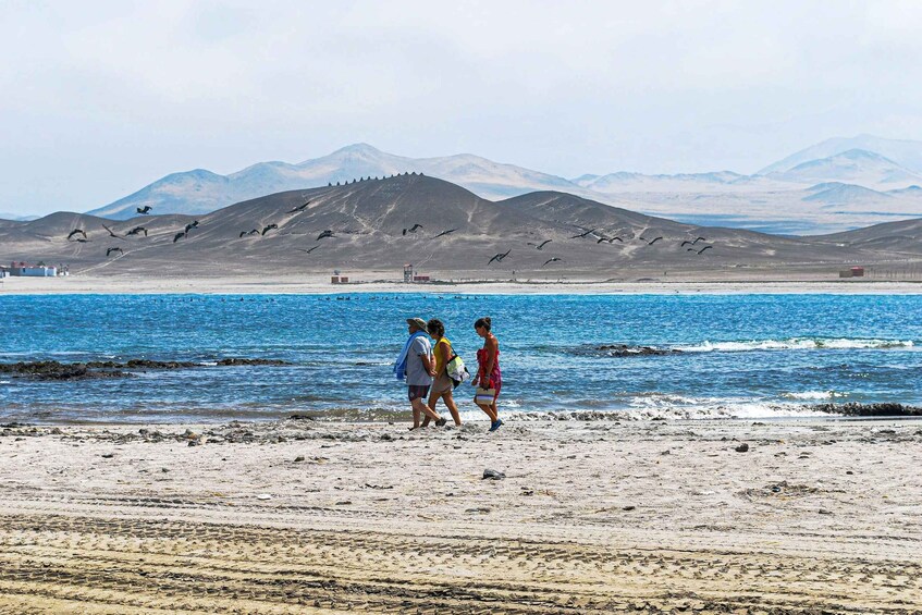Paracas: Hike through the Paracas National Reserve 1
