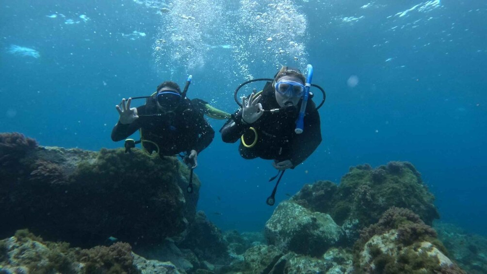 Two scuba divers underwater with coral formations and marine life. 1