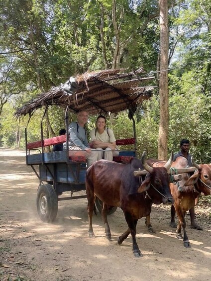 A cart pulled by two oxen, with people seated in the cart, moving along a dirt path in a forested area. 3