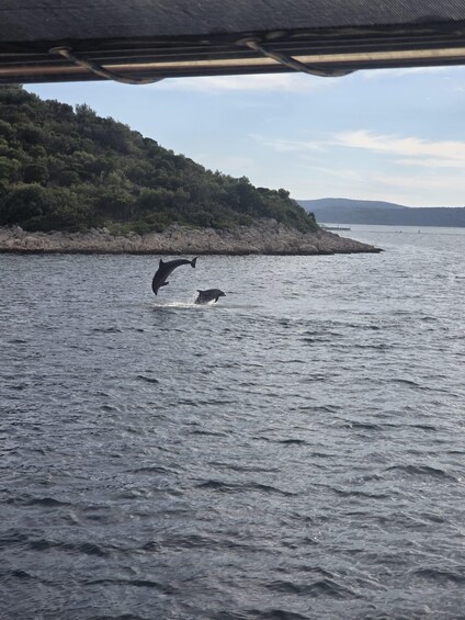 Picture 38 for Activity Kornati Boat Tour with Lunch, Drinks & Tickets 2