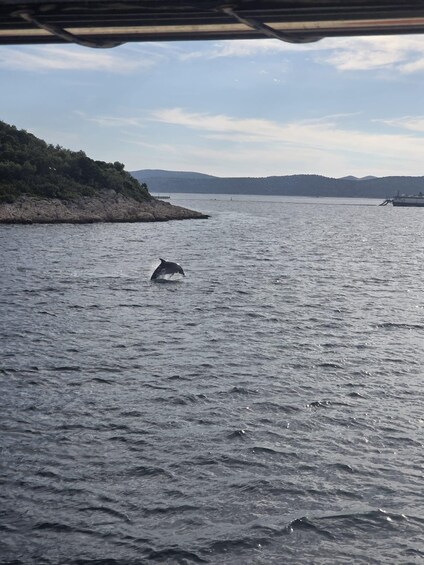 Picture 39 for Activity Kornati Boat Tour with Lunch, Drinks & Tickets 4