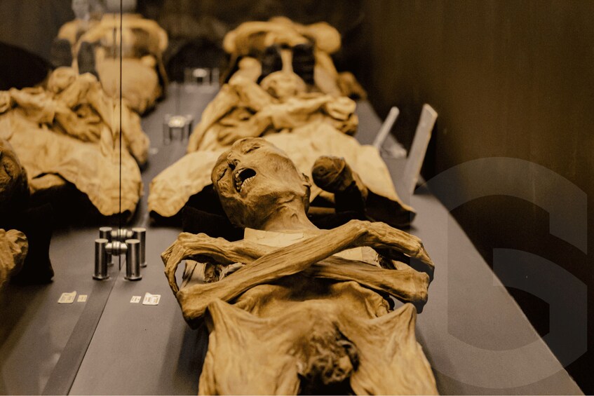 Picture 6 for Activity Guanajuato: Mummies, Mines and Tunnels Guided Group Tour 2
