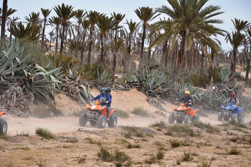 Picture 9 for Activity Djerba:Quad Bike Ride to the Blue Lagoon 1h30 2