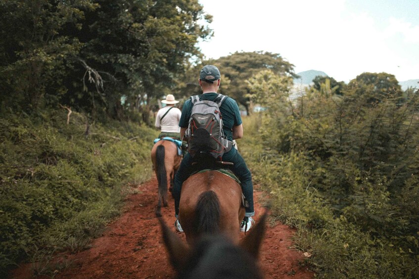 Two people riding horses on a dirt path surrounded by dense vegetation. 1