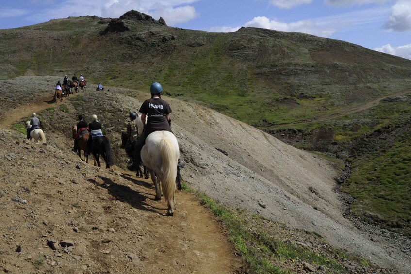 Picture 4 for Activity 1-hour horseback ride in the south of Tenerife 2