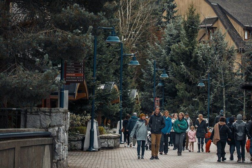 Vancouver Sea to Sky Whistler Day Tour 2