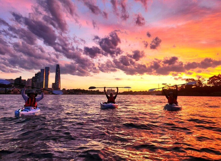 Sydney: Sunset Kayak - Opera & Harbour Bridge Tour (5p. max) 1