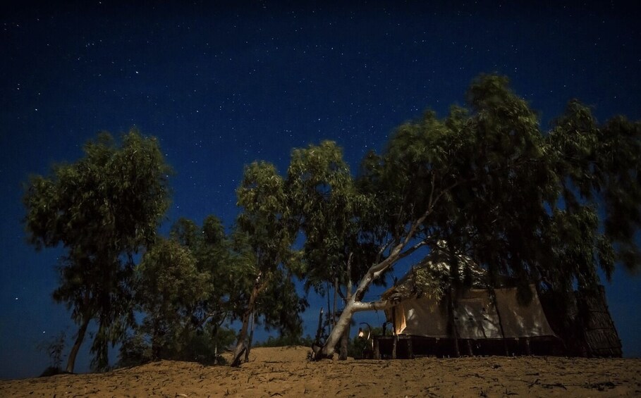 Picture 5 for Activity From Dakar: Lompoul Desert 2-Day Tour with Camel Ride 2