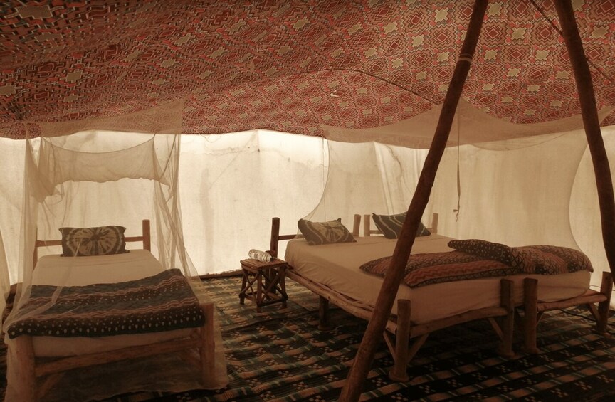 Picture 6 for Activity From Dakar: Lompoul Desert 2-Day Tour with Camel Ride 3