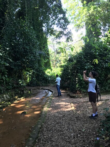Two people walking along a path in a forested area with a stream. 5