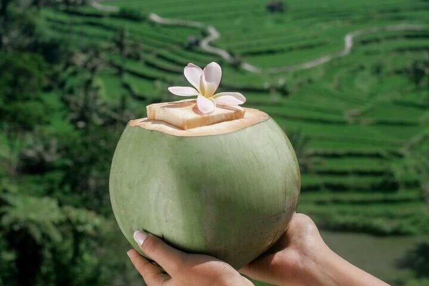 A hand holding a coconut with a flower on top, set against a background of green terraced fields. 4