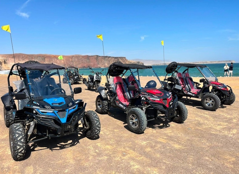 Off-road vehicles parked on a sandy beach with flags and a clear blue sky. 1