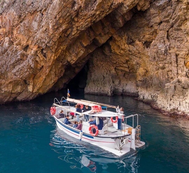 Picture 6 for Activity L'Estartit: Boat Trip to the Medes Islands, caves and coves 4