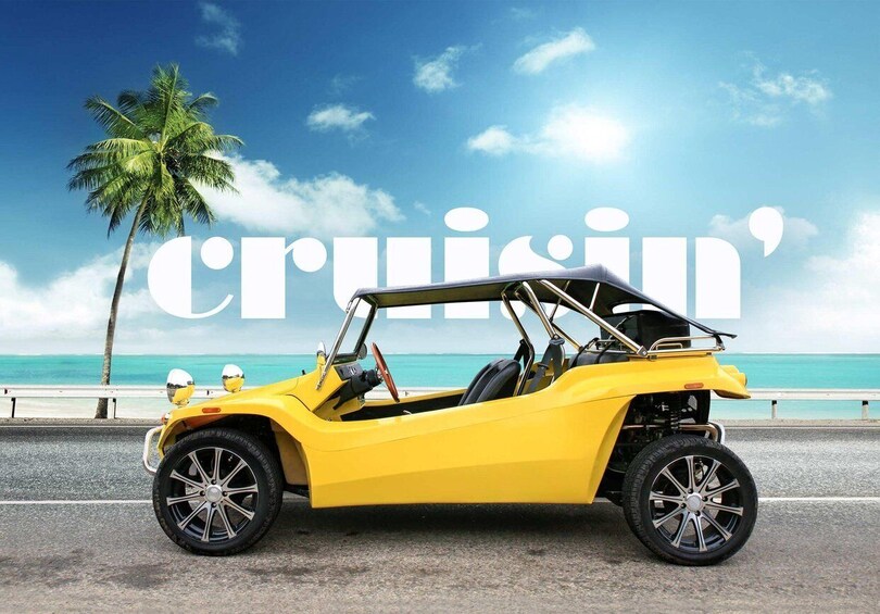 Picture 1 for Activity Oregon: Self-Guided Buggy Rental with Scenic Itinerary 3