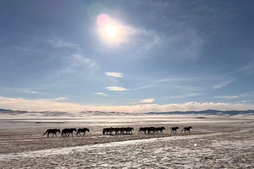 4 Day Mongolia Adventure Sand Dunes Hot Springs and Ugii Lake 2