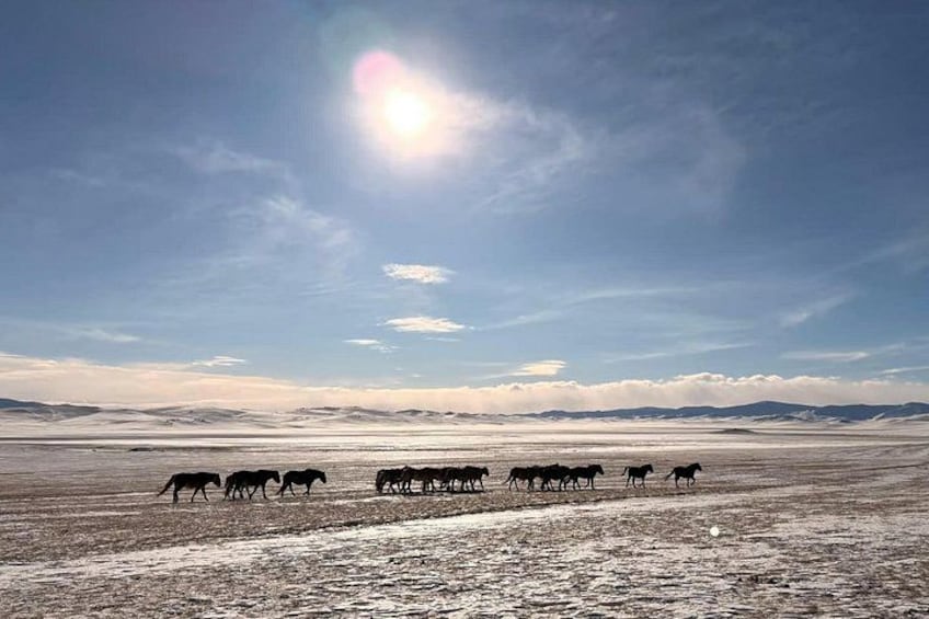 4 Day Mongolia Adventure Sand Dunes Hot Springs and Ugii Lake 2