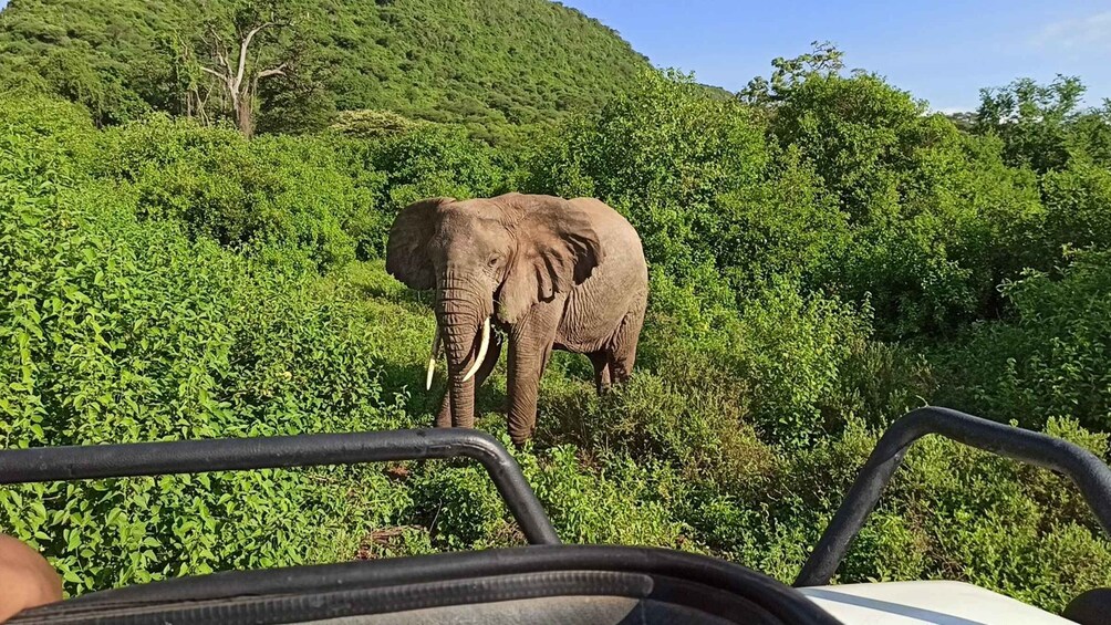 Uganda: 5-Day Lake Mburo, Queen Elizabeth & Kibale Safari 1