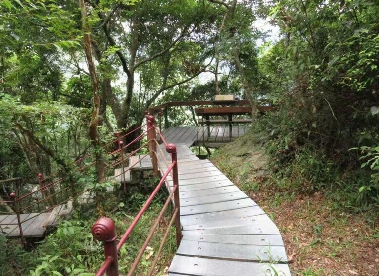 A wooden bridge with a metal railing in a forested area. 5
