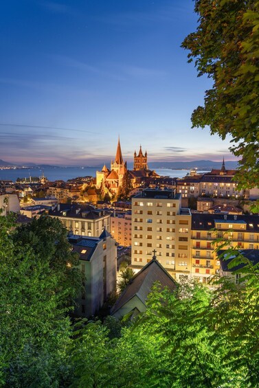Picture 5 for Activity Lausanne: Walking Tour with Chocolate Tastings & Metro 3