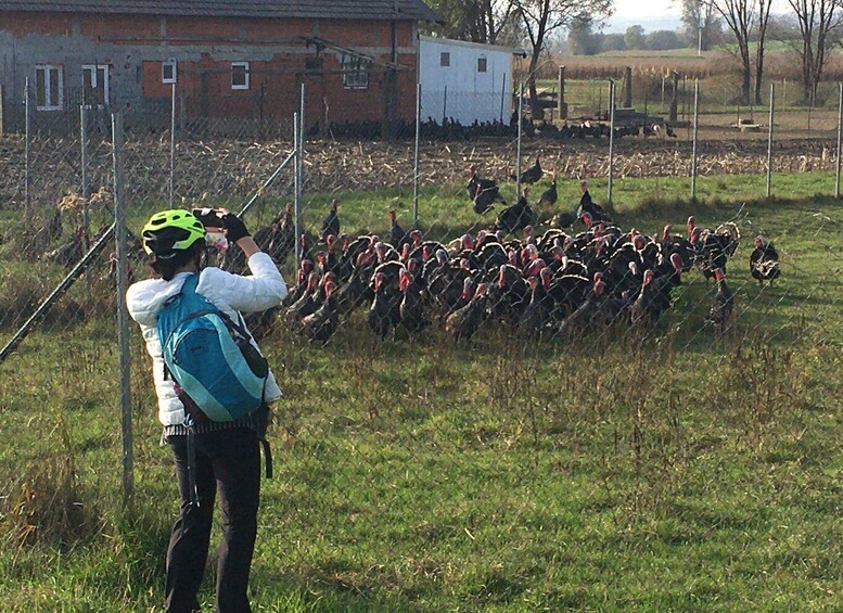 Picture 13 for Activity Marija Bistrica: History and traditional crafts by E-bike 5
