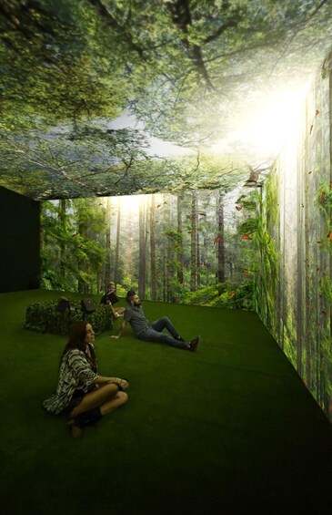 Picture 11 for Activity Mexico City: Mystika Inmersivo Entrance Ticket 4