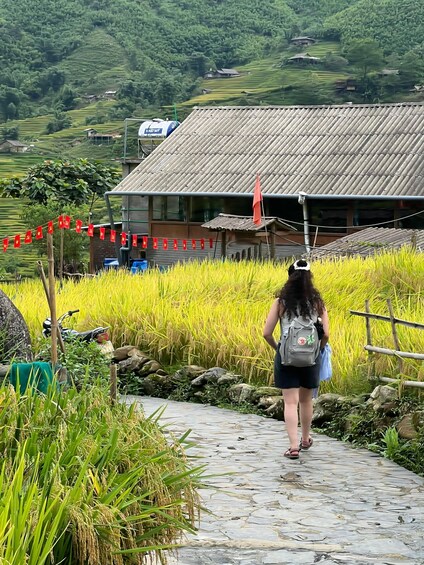 A person walking on a stone path through a rice field with a traditional house in the background. 1