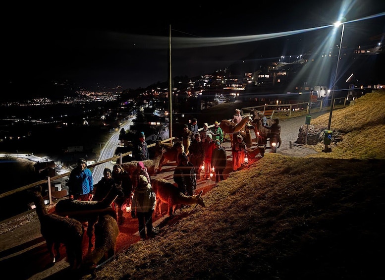 A nighttime scene with people and llamas on a hillside. 5