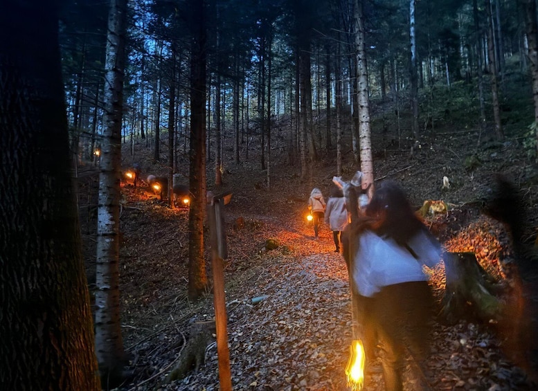 A forest with a path lit by lanterns. 2