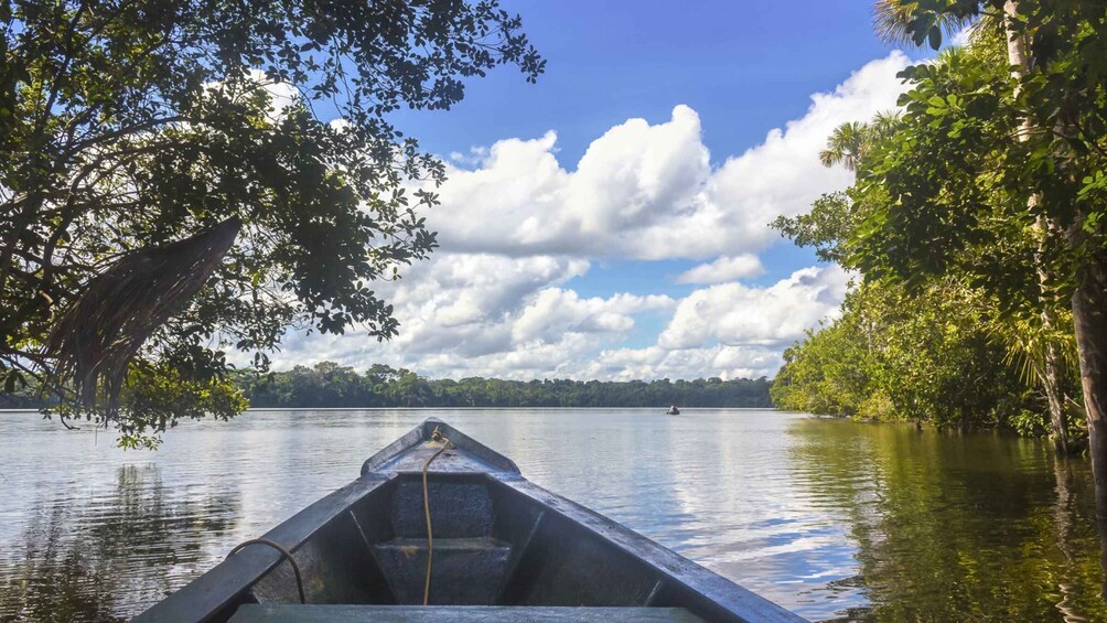 Picture 2 for Activity From Puerto Maldonado || Jungle Hiking + Sandoval Lake || 3