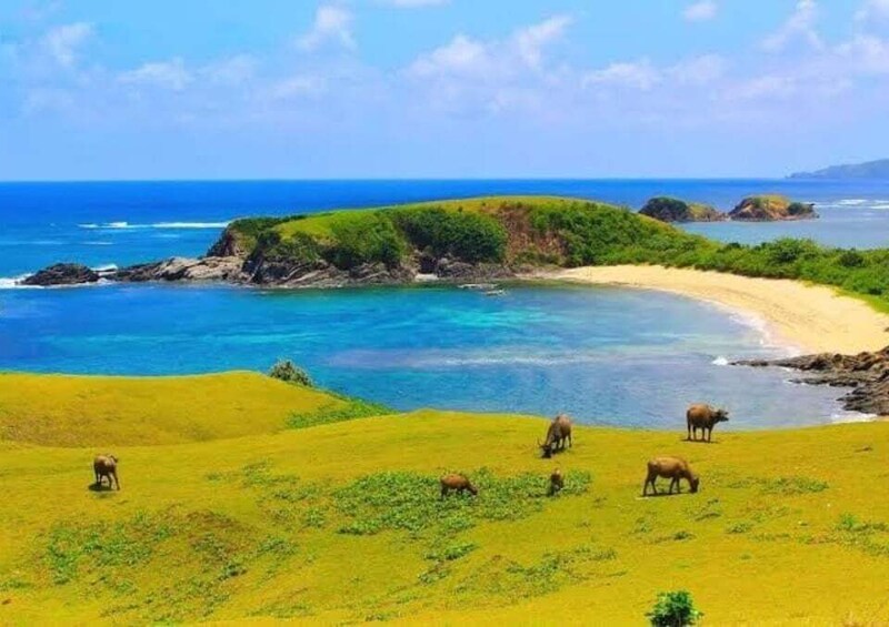A coastal landscape with a grassy hill, a sandy beach, and the ocean. 1