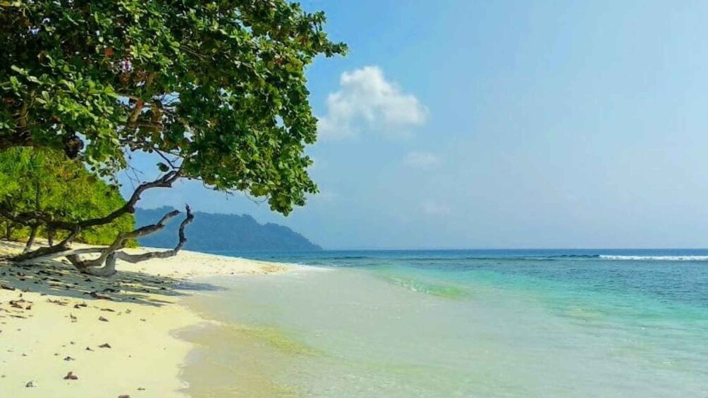 Picture 1 for Activity Andaman Adventure with Scuba Diving - 3 Nights 4 Days 3