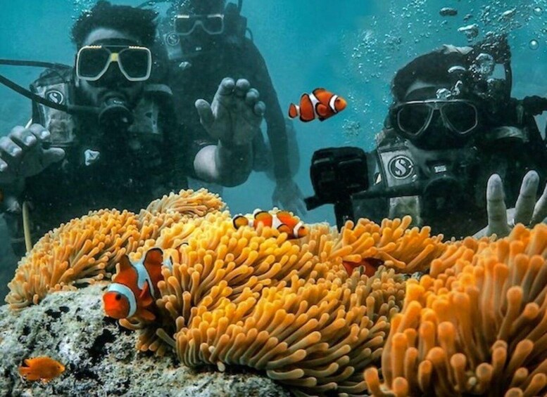Andaman Adventure with Scuba Diving - 3 Nights 4 Days 1