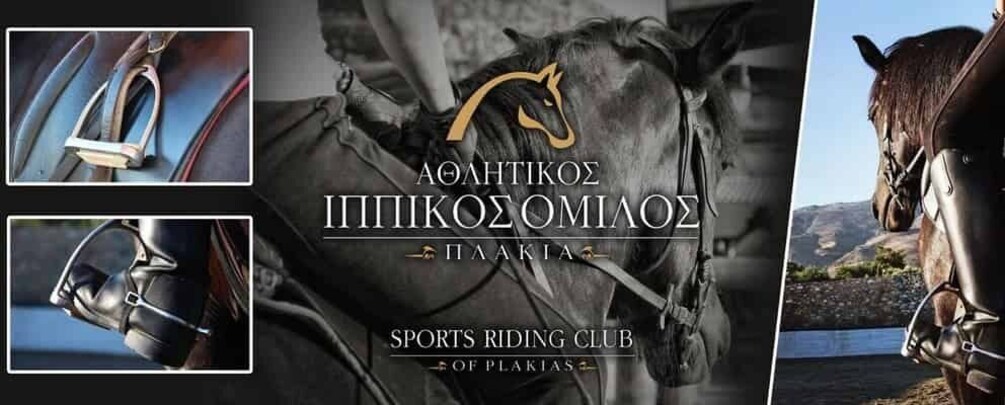 Plakias: Horse Riding Lesson 1
