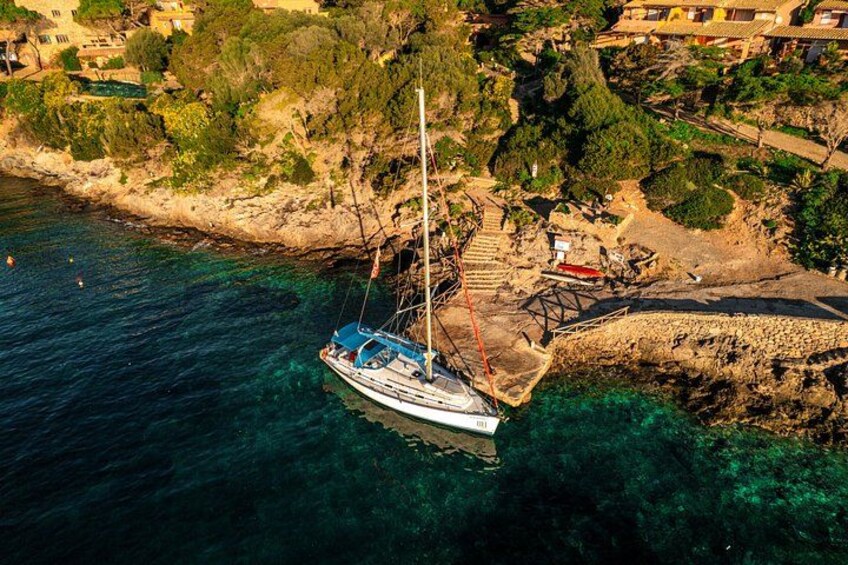 Golfo Aranci: 3-hour tour with dolphins and aperitif on a sailboat 1