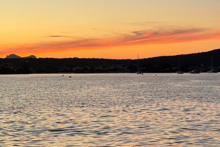 Sunset with dolphins and aperitif on a sailboat in Golfo Aranci 5