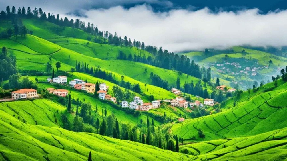 A lush green valley with terraced fields and scattered houses. 2