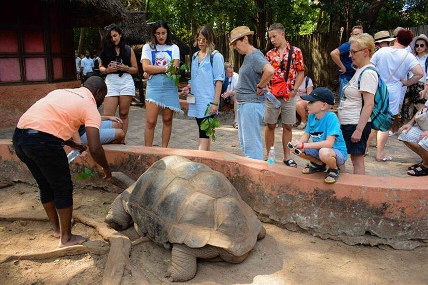 Un grupo de personas observando una tortuga en un recinto de un zoológico. 1