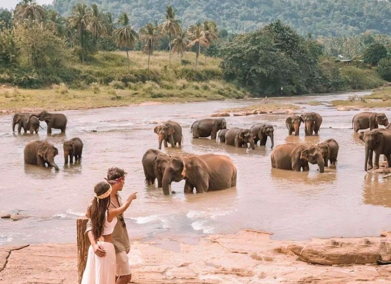 A river with elephants and two people observing. 4